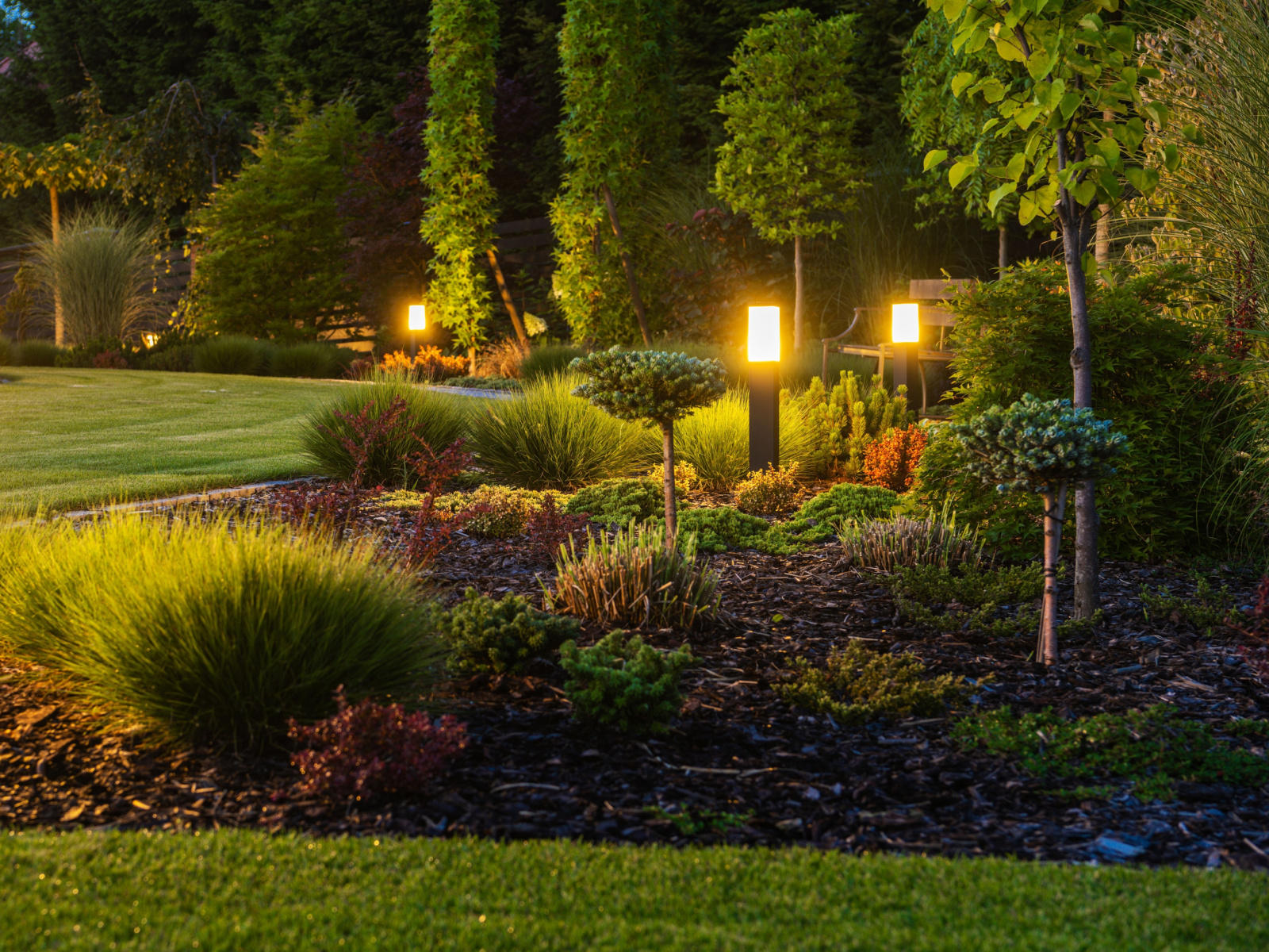 Treat Your Arlington Landscape Right with Professional Plant and Tree Replacement Services