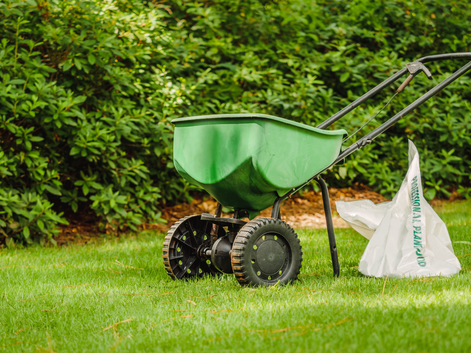 What Are the Benefits of Professional Lawn Fertilization?