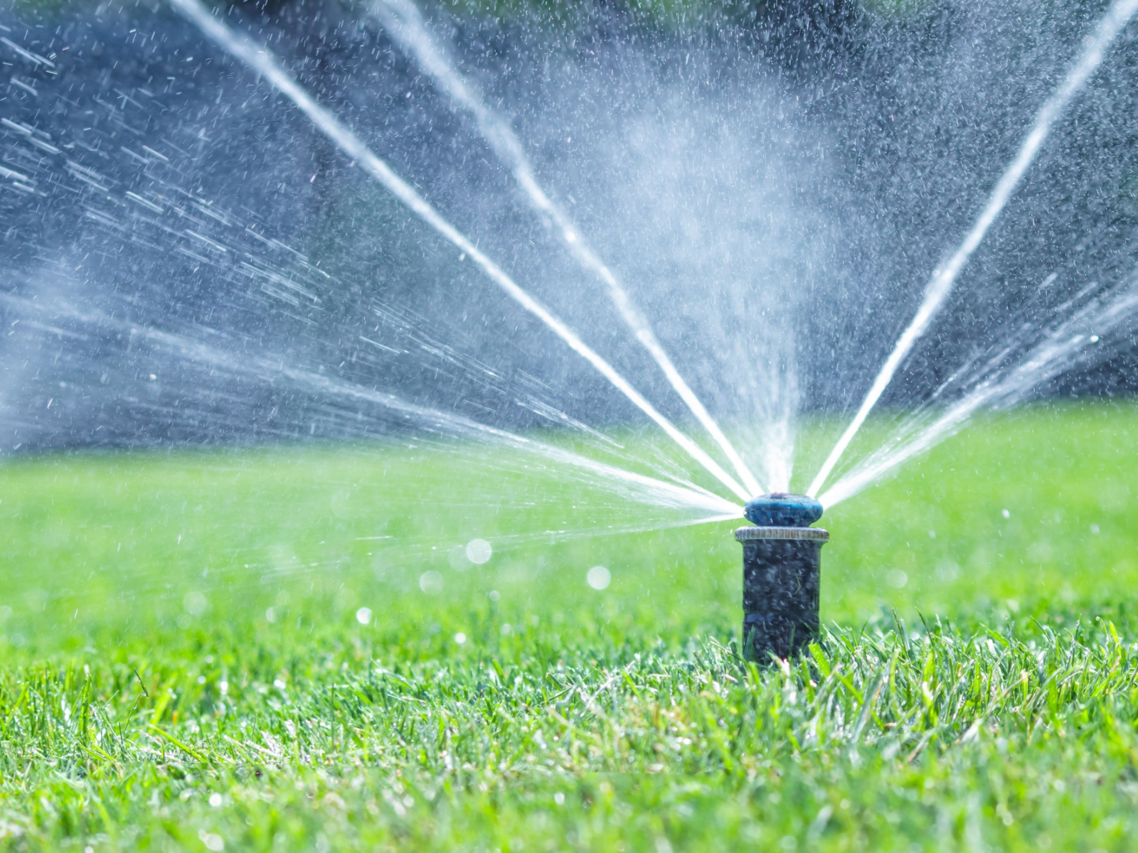 Scheduling Your Post-Winter Irrigation System Maintenance